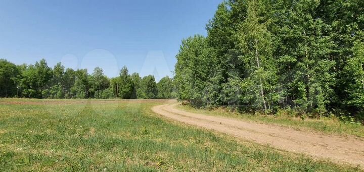 Участок 10,3 сот. (ИЖС)