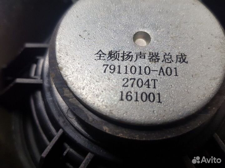 Динамик задний левый (Zotye T600)