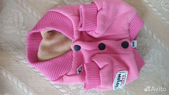 Одежда для собак