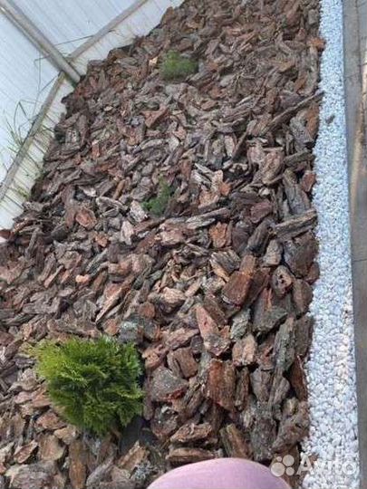 Мульча сосновая