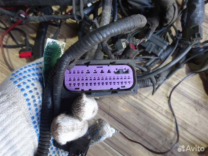 Проводка моторная Ford Mondeo III (2000—2003)