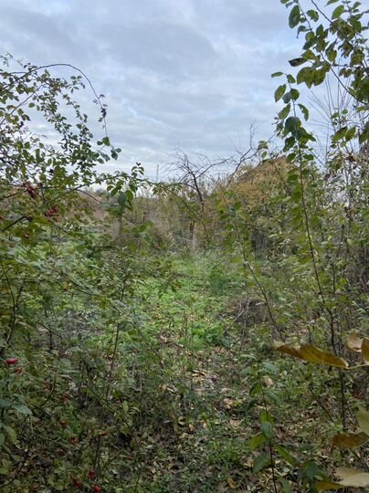 Дом 59,6 м² на участке 12 сот.