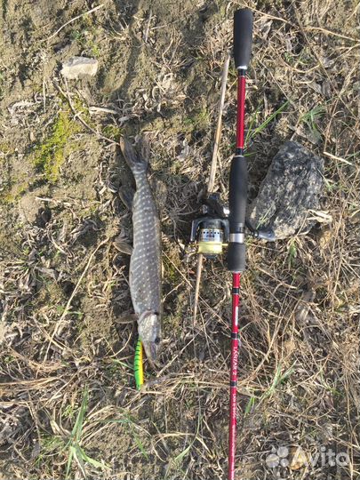 Спининг с катушкой