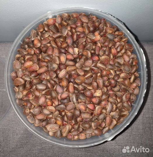 Орех кедровый ведро 3.3л