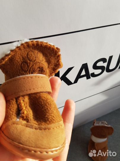 Ботинки для собак (3)