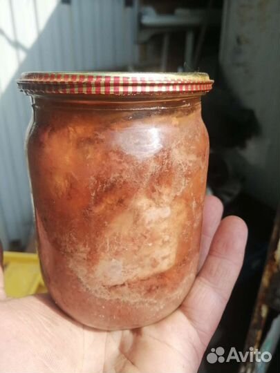 Тушёнка домашняя из лося