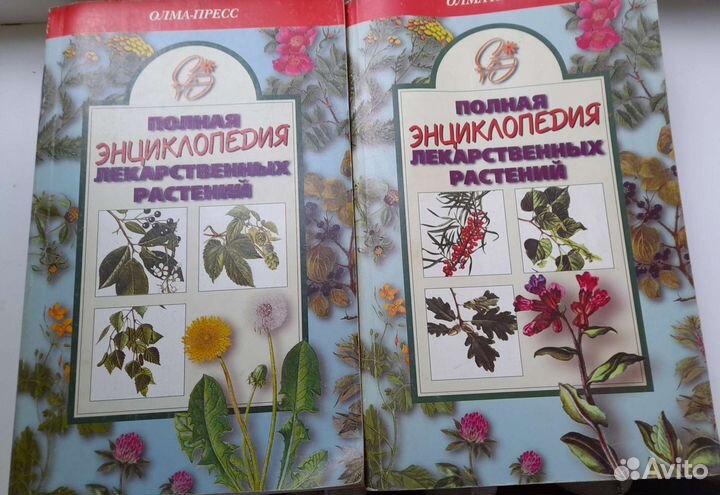 Энциклопедия лекарственных растений