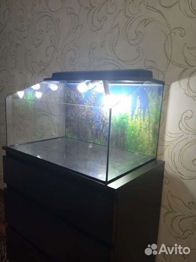 Террариум для рептилий