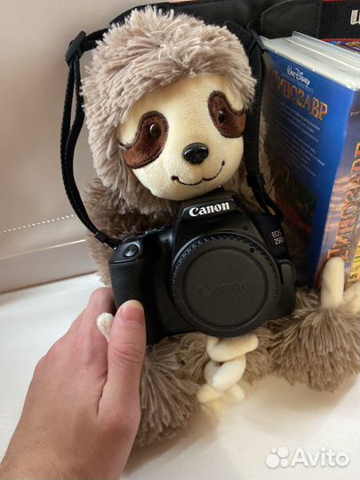 Зеркальный фотоаппарат Canon EOS 250D Body