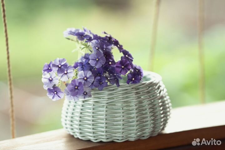 Плетеные корзинки