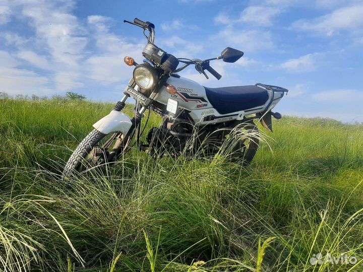 Orion 125