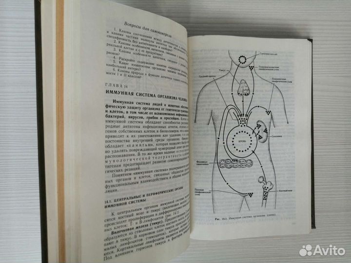 Медицинская микробиология, вирусология (1994г.)