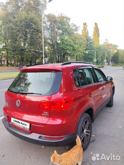 Volkswagen Tiguan 1.4 МТ, 2011, 131 000 км