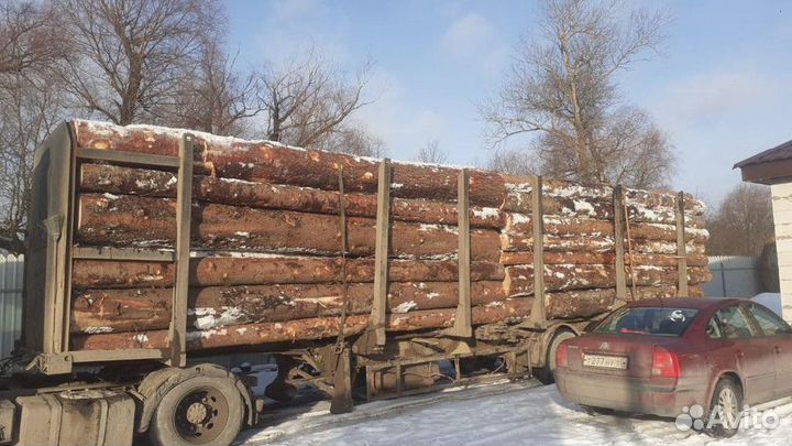 Лес кгруляк опт