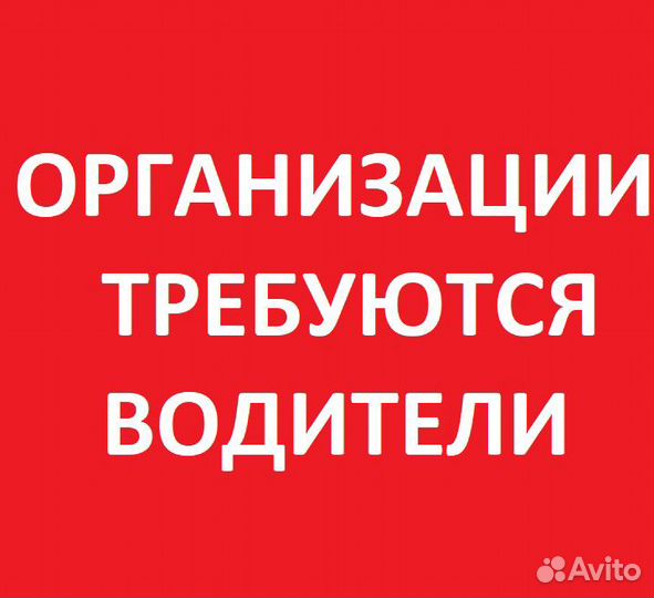 Водитель автобуса (категории Д)