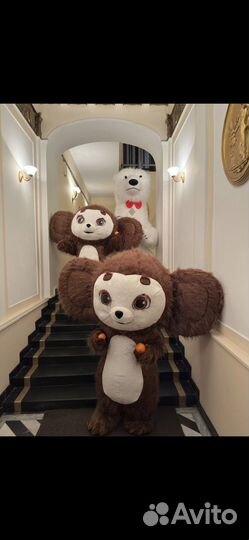 Поздравление Чебурашка