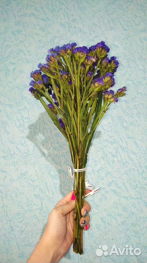 Букеты из сухоцветов