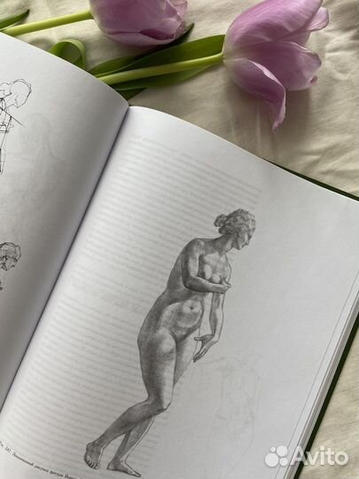 Николай Ли основы академического рисунка