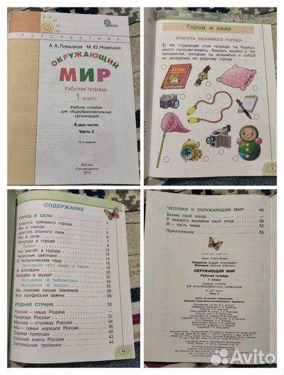 Рабочая тетрадь 1 класс окружающий мир 2 часть