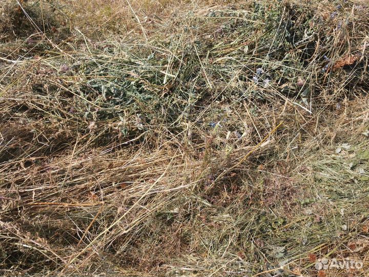 Сено луговое