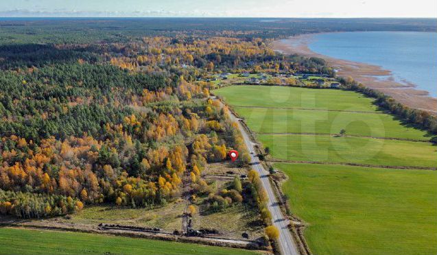 Участок 10 сот. (СНТ, ДНП)