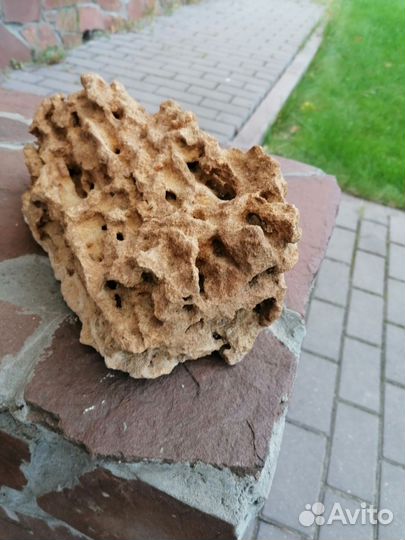 Грот (камень) для аквариума