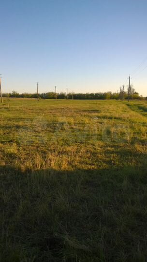 Участок 12 сот. (ИЖС)