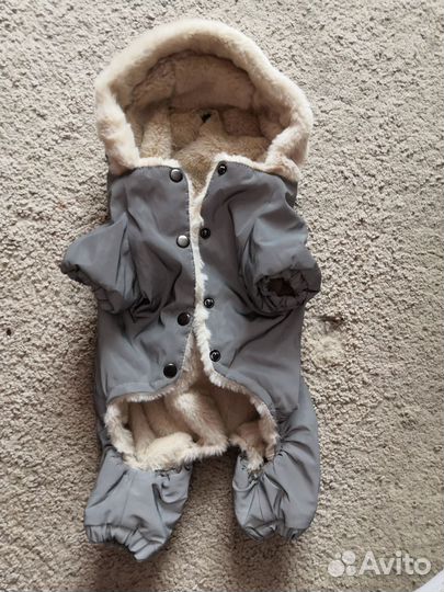 Комбинезон для маленькой собаки