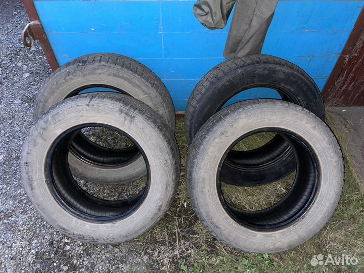 Nokian Tyres Hakkapeliitta 7 195/65 R15 95