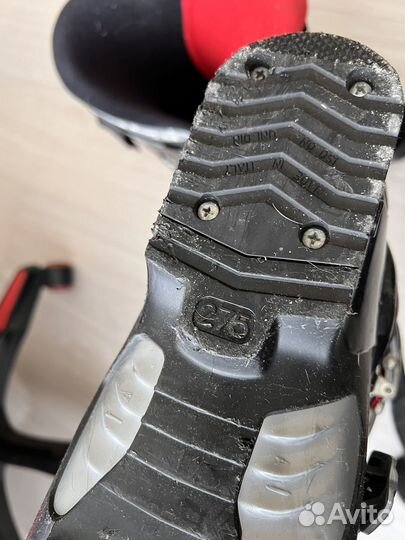 Горнолыжные ботинки dalbello