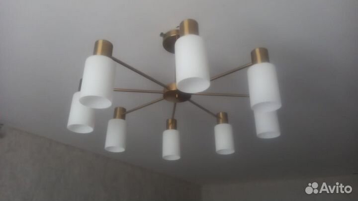 Мастер, сантехник, дезинсекция, ветеринар