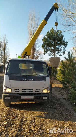 Перевозки манипулятором с выгрузкой