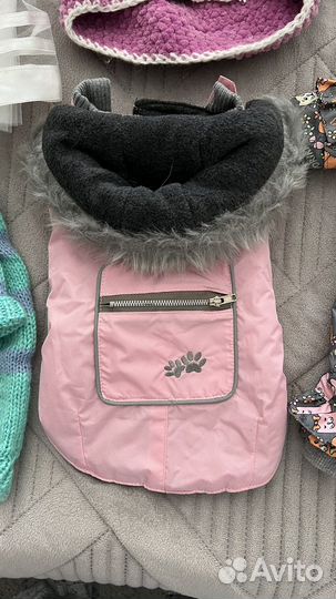 Одежда для собак