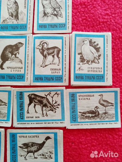 Спичечные этикетки. Фауна тундры