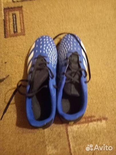 Футзалки adidas predator