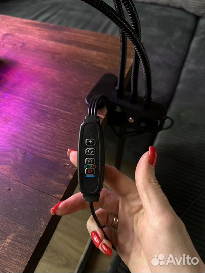 Фитолампа, лампа для рассады