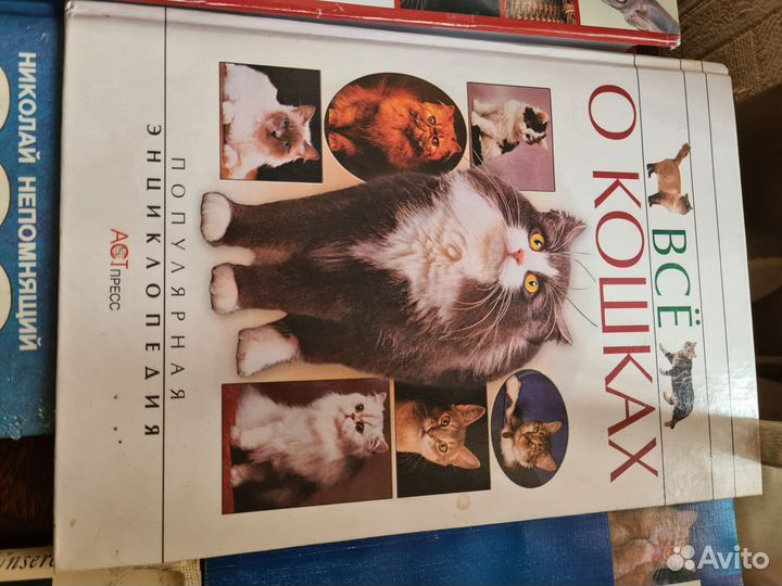 Книги о кошках(содержание,воспитание и т.д