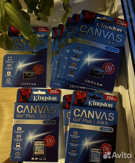 Карта памяти Kingston Canvas Go Plus 256Gb