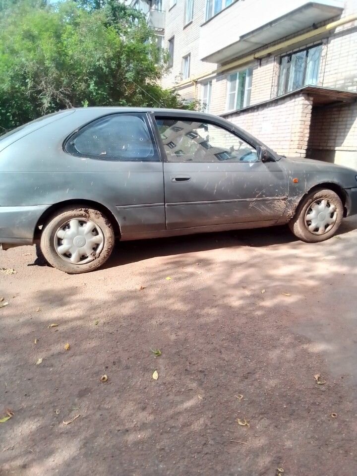 Toyota Corolla: фото владельца