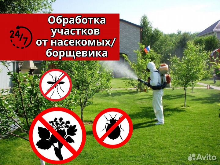 Обработка участка от насекомых/кротов