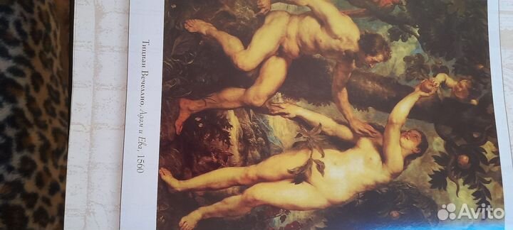 Книга мудрости