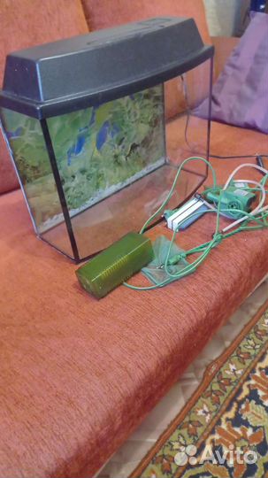 Аквариум