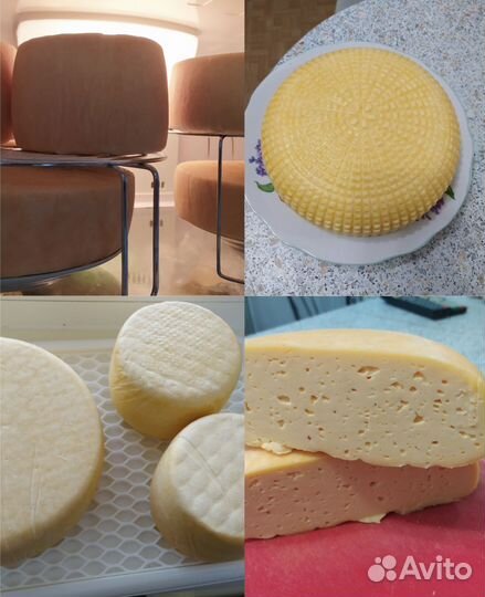 Сыр российский