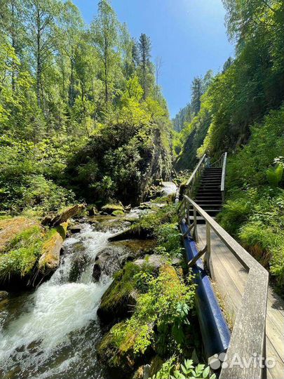 Авторские индивидуальные туры на Алтай