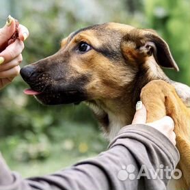 Реальное порно с женой смотреть онлайн и в лучшем качестве на Порно Молоко