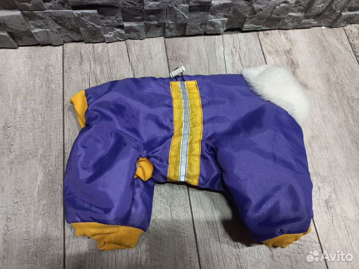 Одежда для собак мелких пород