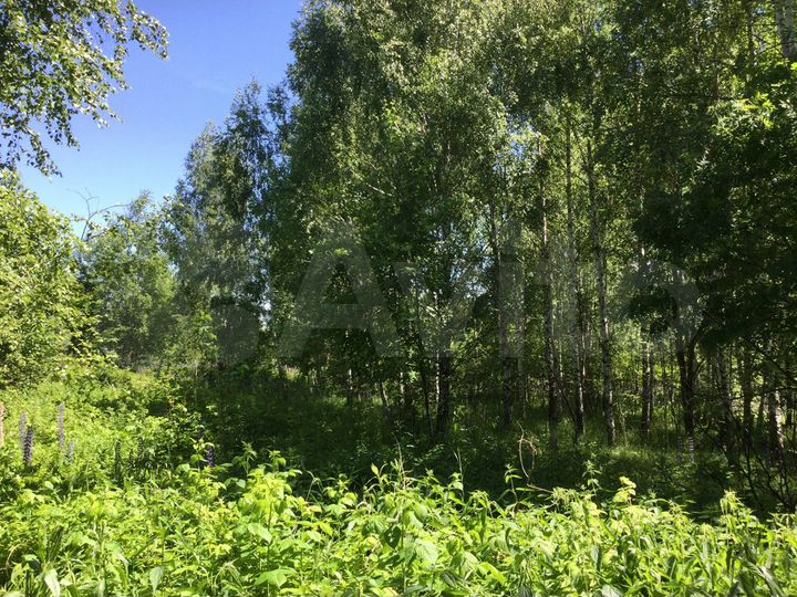 Участок 10 сот. (СНТ, ДНП)