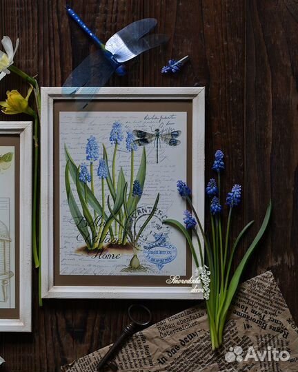 Комплект иллюстрации Нарциссы и мускари