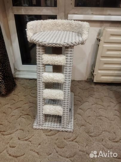 Когтеточка-лесенка