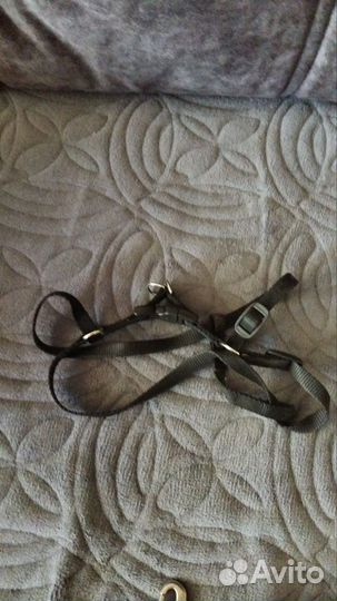 Поводок для собак